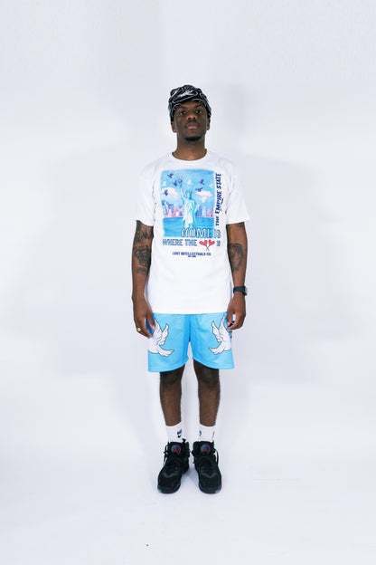 LI Foundation Shorts