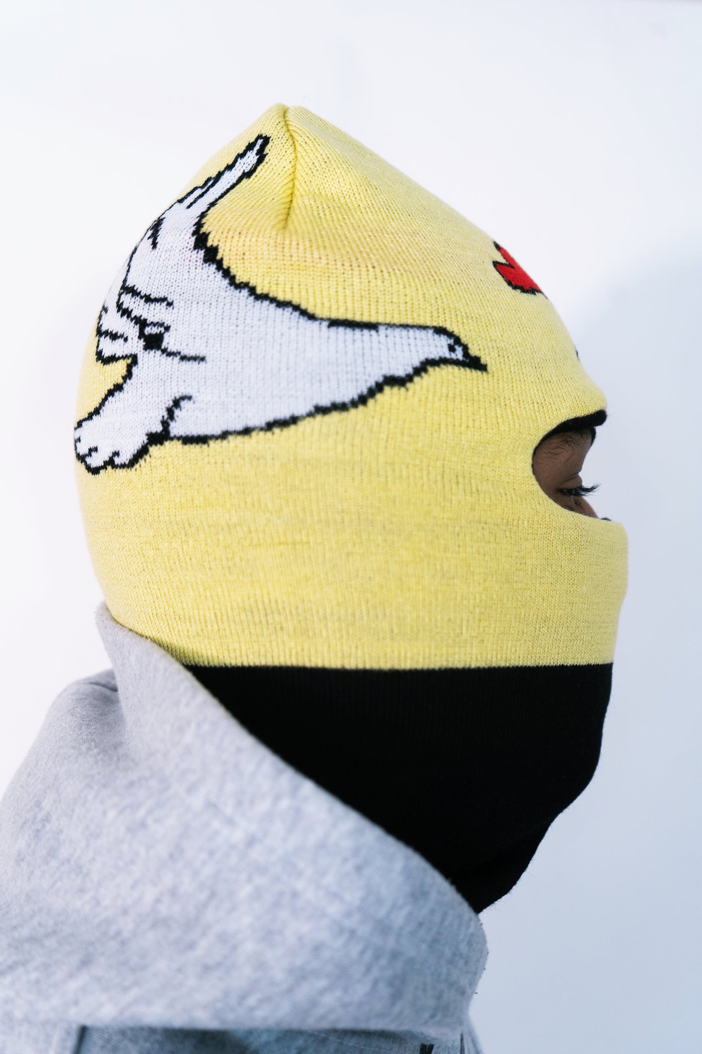 Ski-Mask