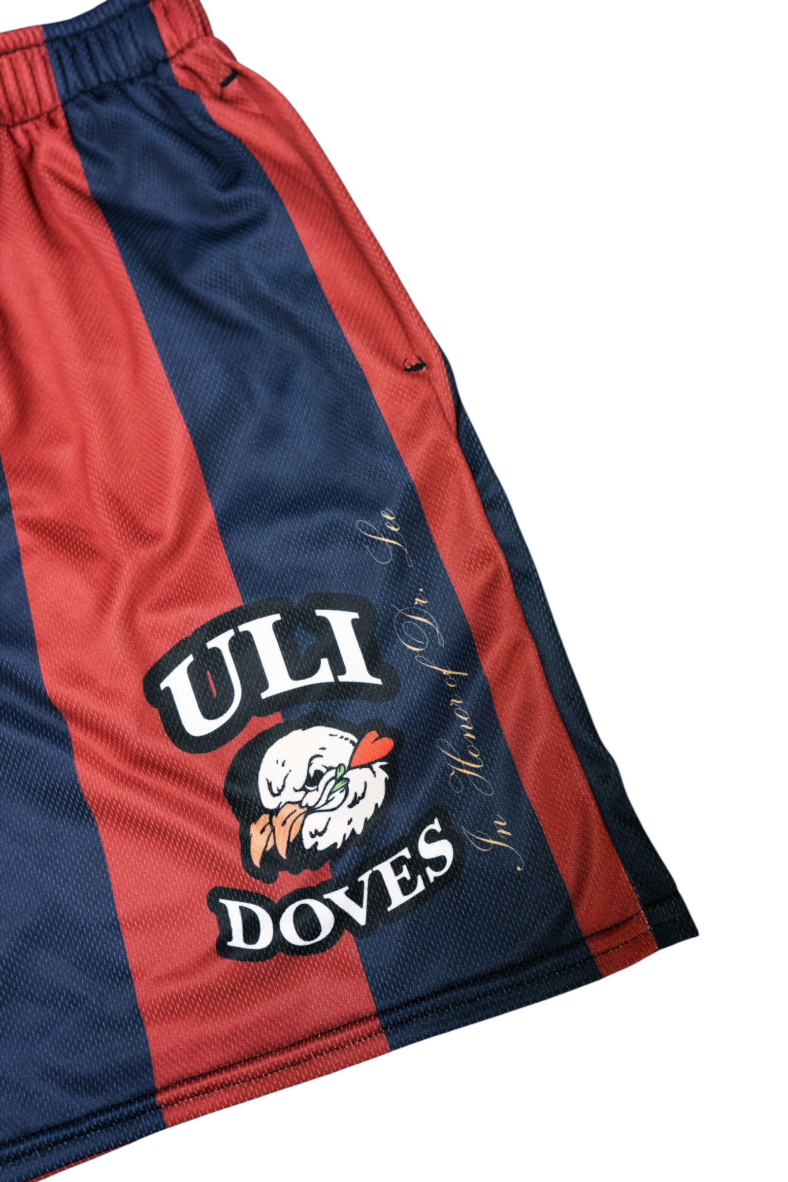 ULI Practice Soccer Shorts