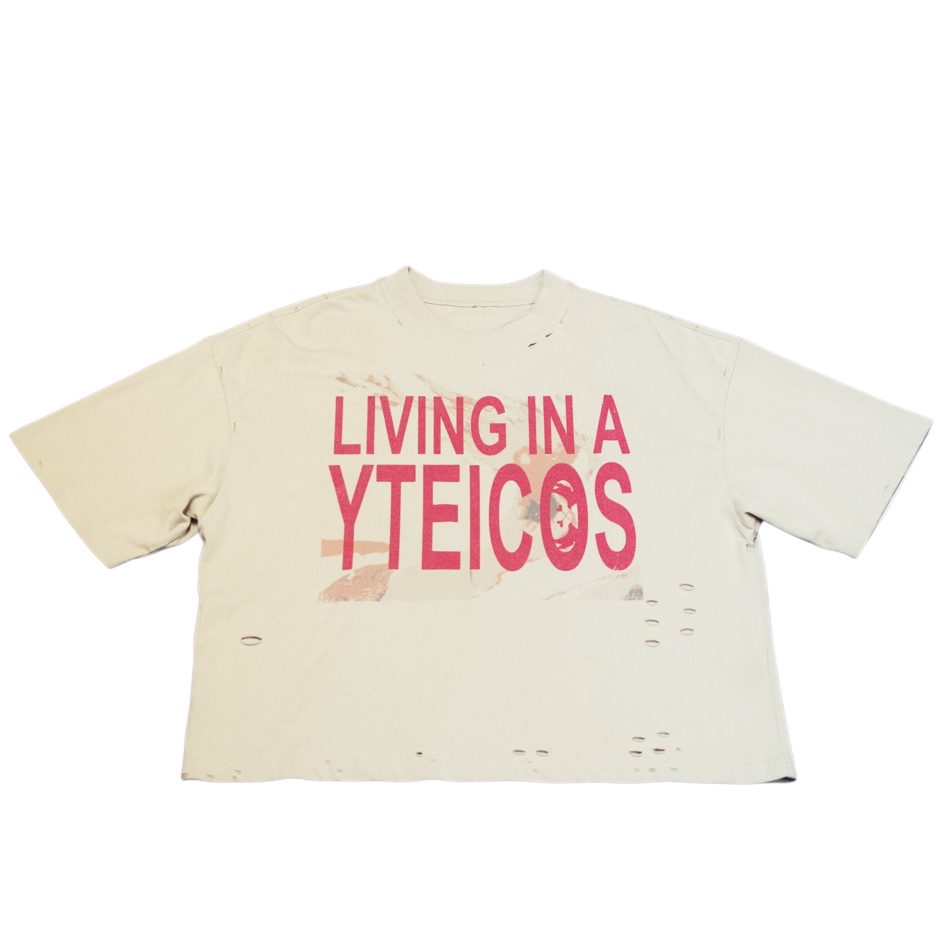 Living in a Backwards Society' T-Shirt