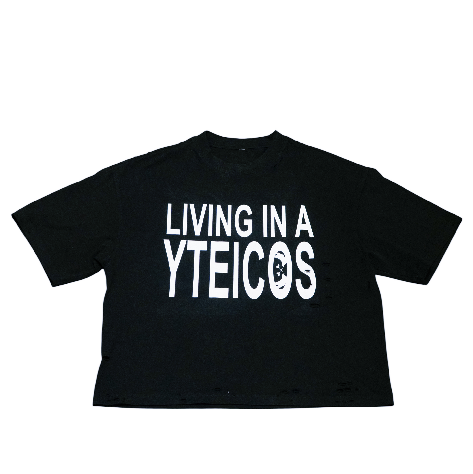 Living in a Backwards Society' T-Shirt